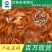 鱼苗红鲤鱼鲲腾鱼苗好鱼苗鲲腾出产地直销百万现货