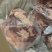 冷冻牛白腩五花腩清真食品牛板肉商用50斤一件