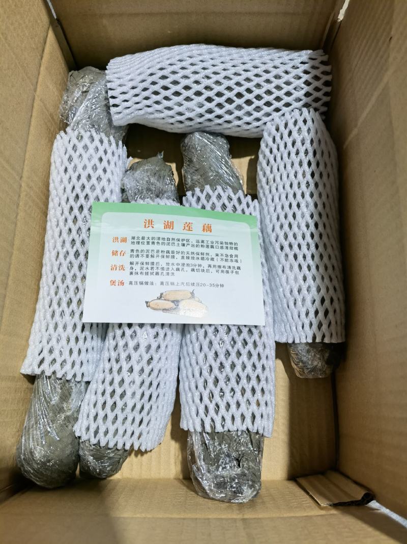 洪湖莲藕，包邮，千亩基地直供，电商一件代发！欢迎采购