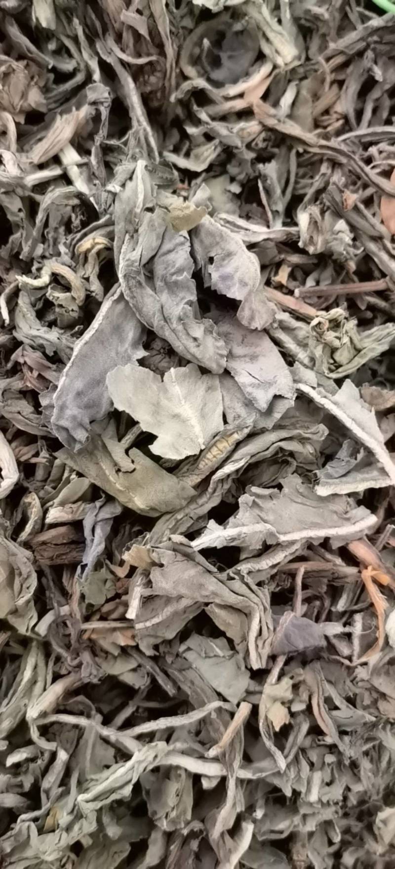 大青叶新货关书药业无硫批发中药材