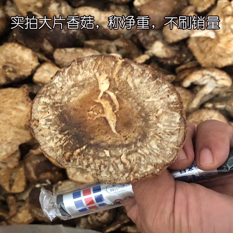 大片干香菇商用食堂用量大欢迎咨询