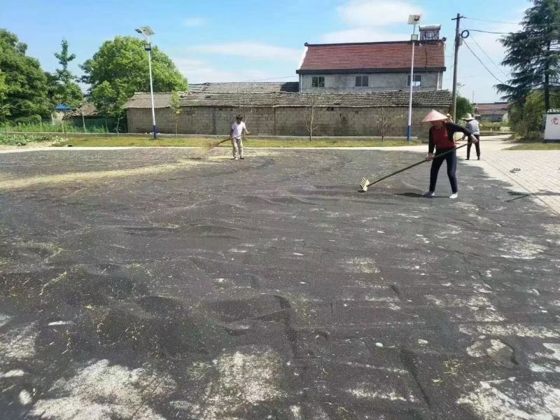 本地农家菜籽，小榨菜籽油