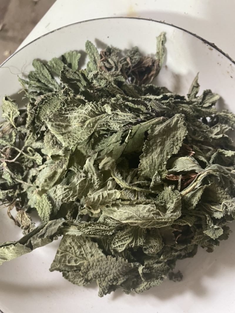 蛤蟆草