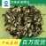 鱼苗罗非鱼鲲腾鱼苗好鱼苗鲲腾出产地直销百万现货