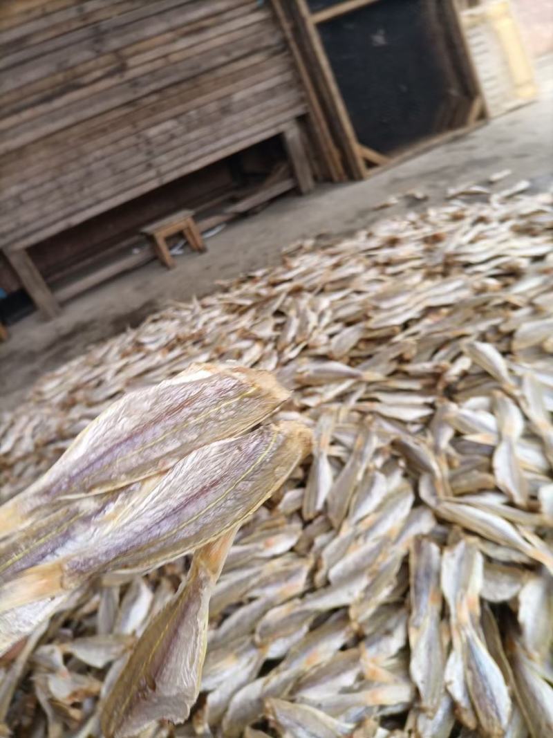 或鱼干