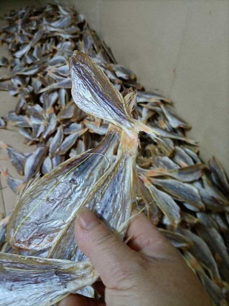 或鱼干