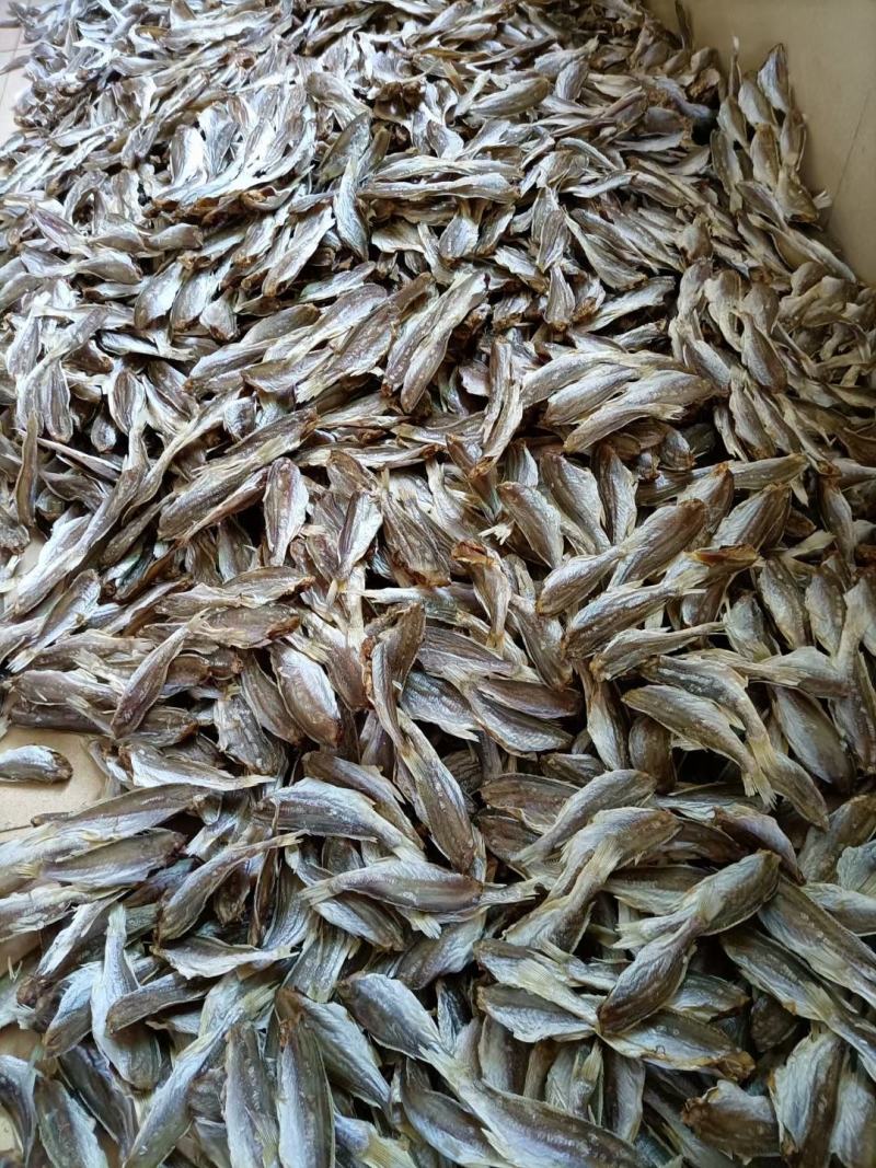 或鱼干