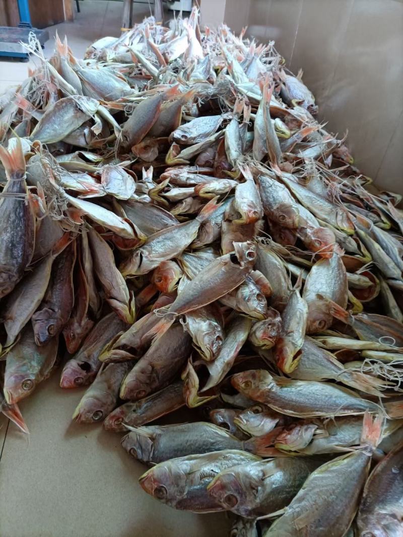 或鱼干