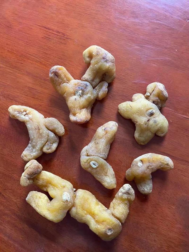 云南黄精个有大货云南黄精个有大货云南黄精个有大货