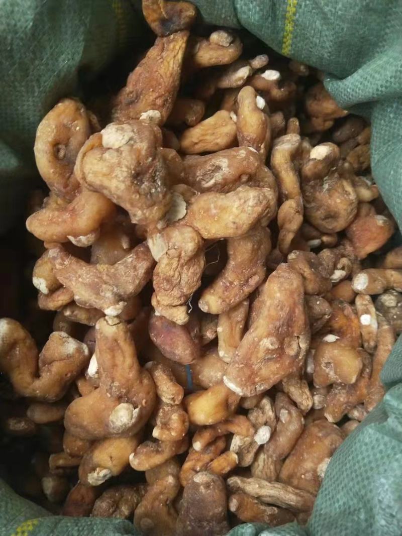 云南黄精个有大货云南黄精个有大货云南黄精个有大货