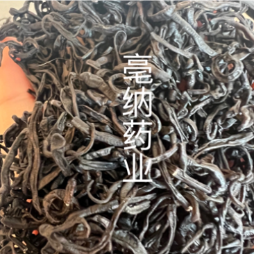 小水蛭中药材清水日本医蛭小蚂蟥干按方抓药