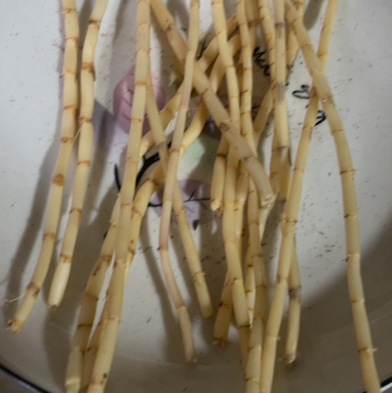 茅根