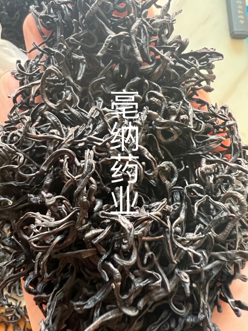 小水蛭中药材清水日本医蛭小蚂蟥干按方抓药
