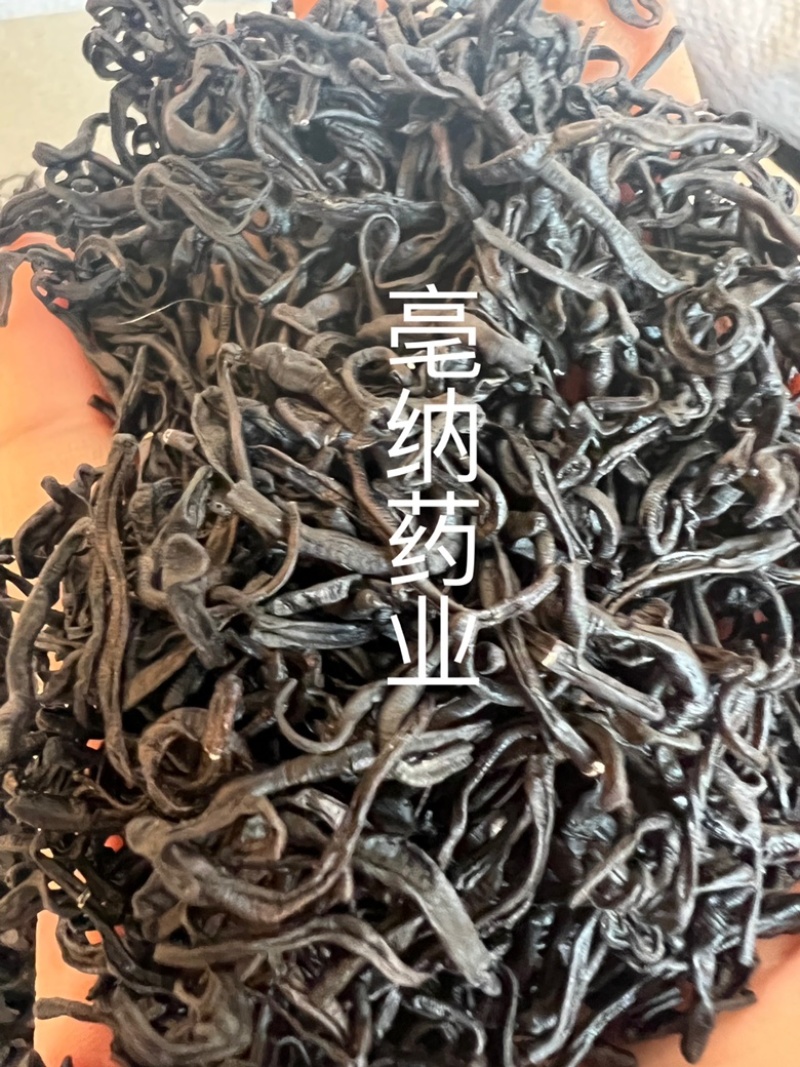 小水蛭中药材清水日本医蛭小蚂蟥干按方抓药