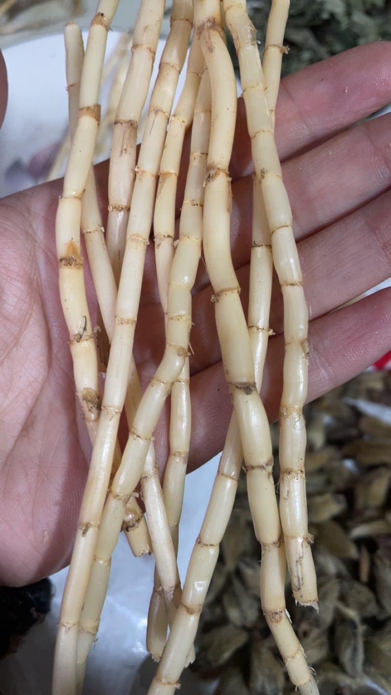 茅根