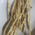 茅根
