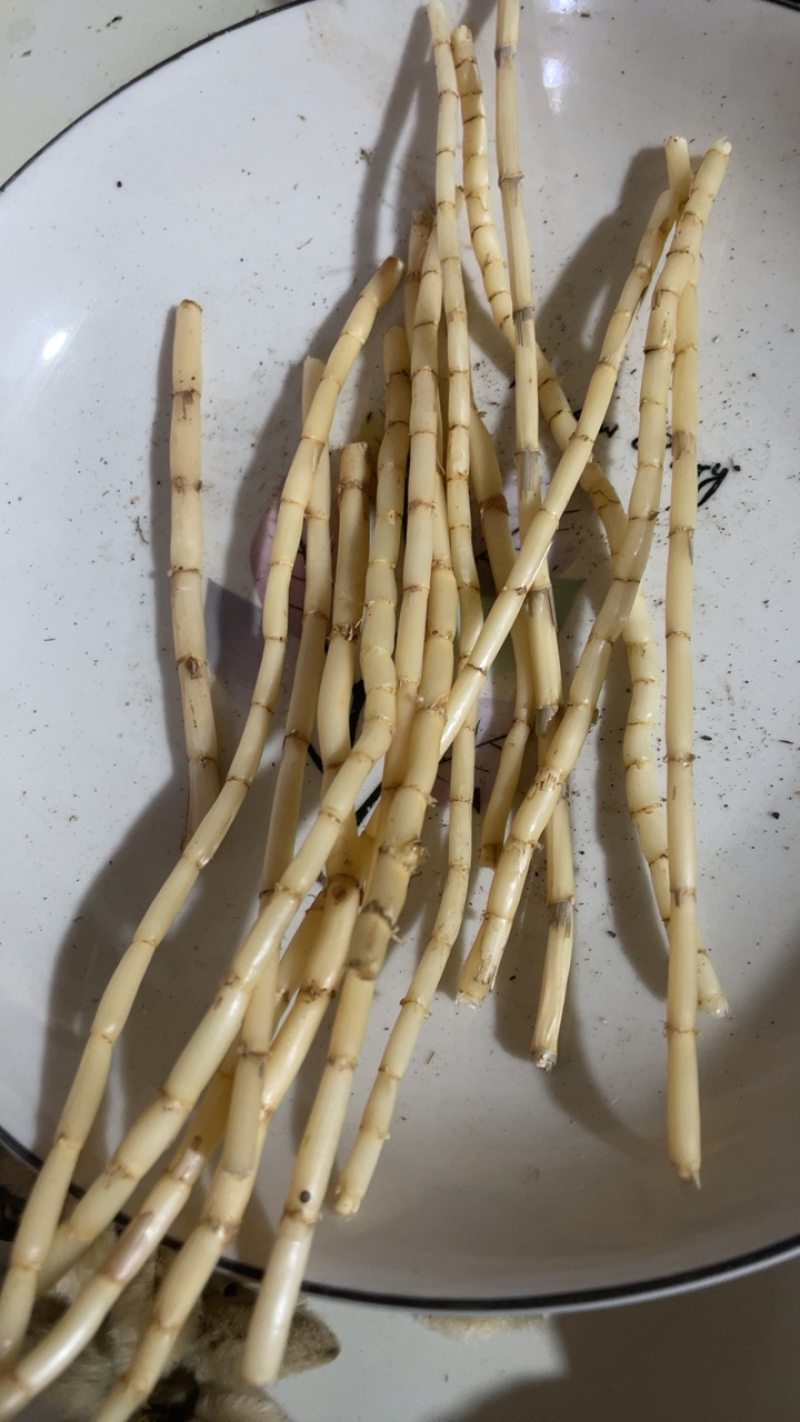 茅根