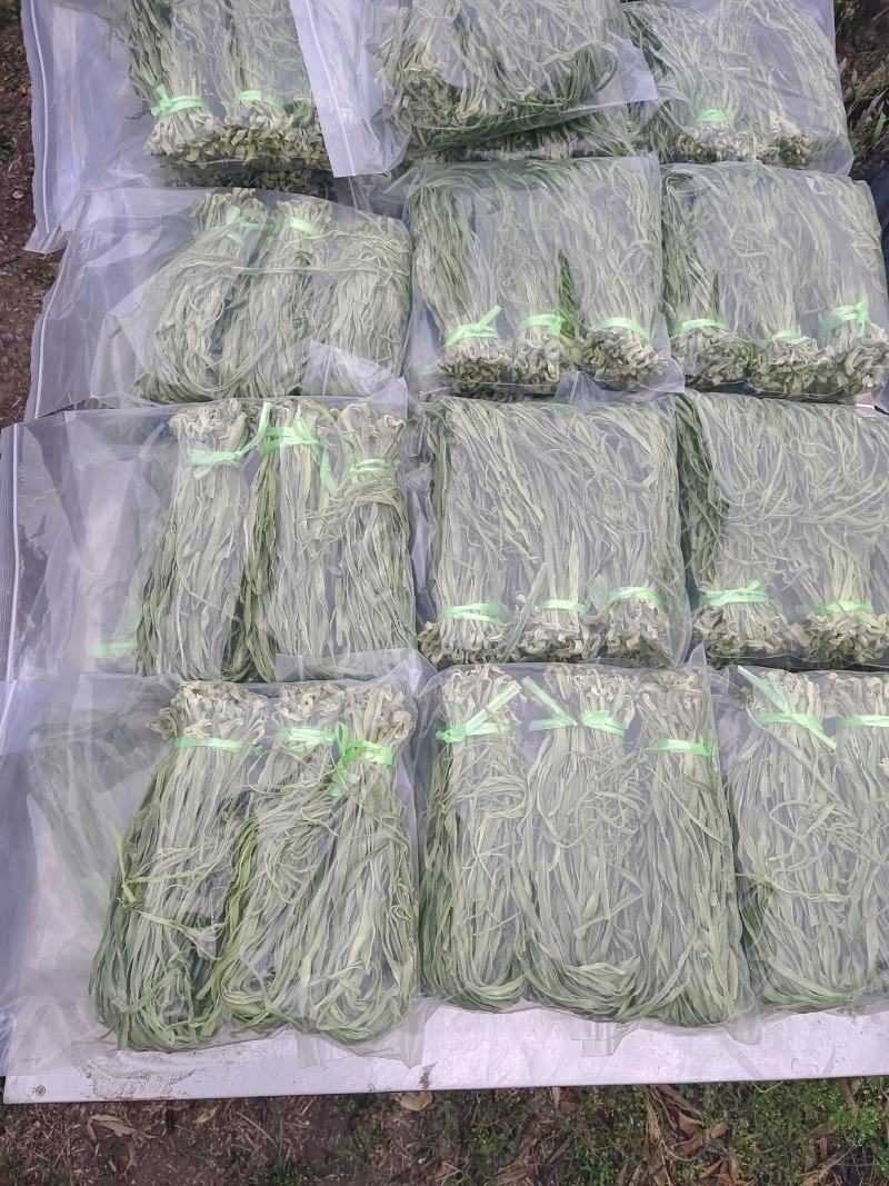 精品贡菜干，云南大理高原贡菜！精品10公分段定制