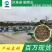 真泥鳅苗鲲腾鱼苗好鱼苗鲲腾出产地直销百万现货