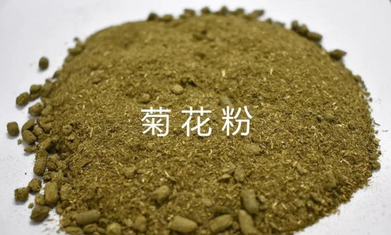 菊花粕，万寿路提取色素下脚料蛋白11-12，牛羊驴马兔