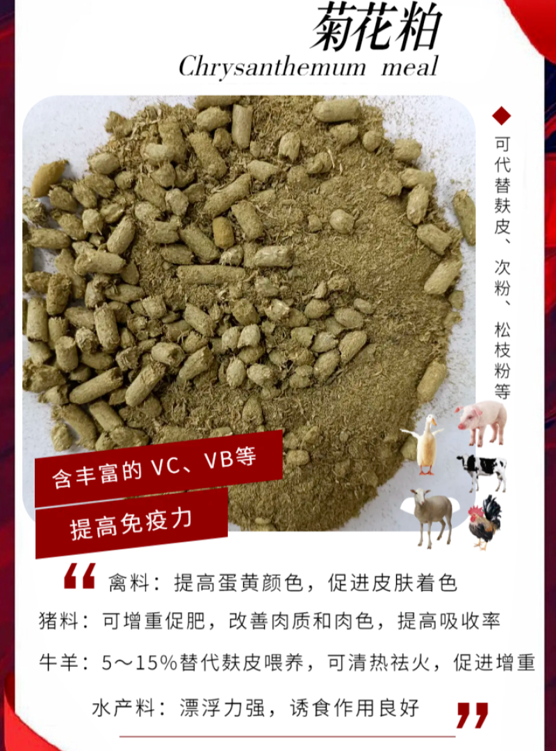 菊花粕，万寿路提取色素下脚料蛋白11-12，牛羊驴马兔