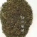 甜叶菊渣，中药甜叶菊提取色素下脚料，蛋白14，牛羊驴马兔