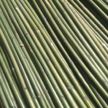 江西优质竹竿菜架竹，笛竹，大棚竹，一手货源，质优价廉