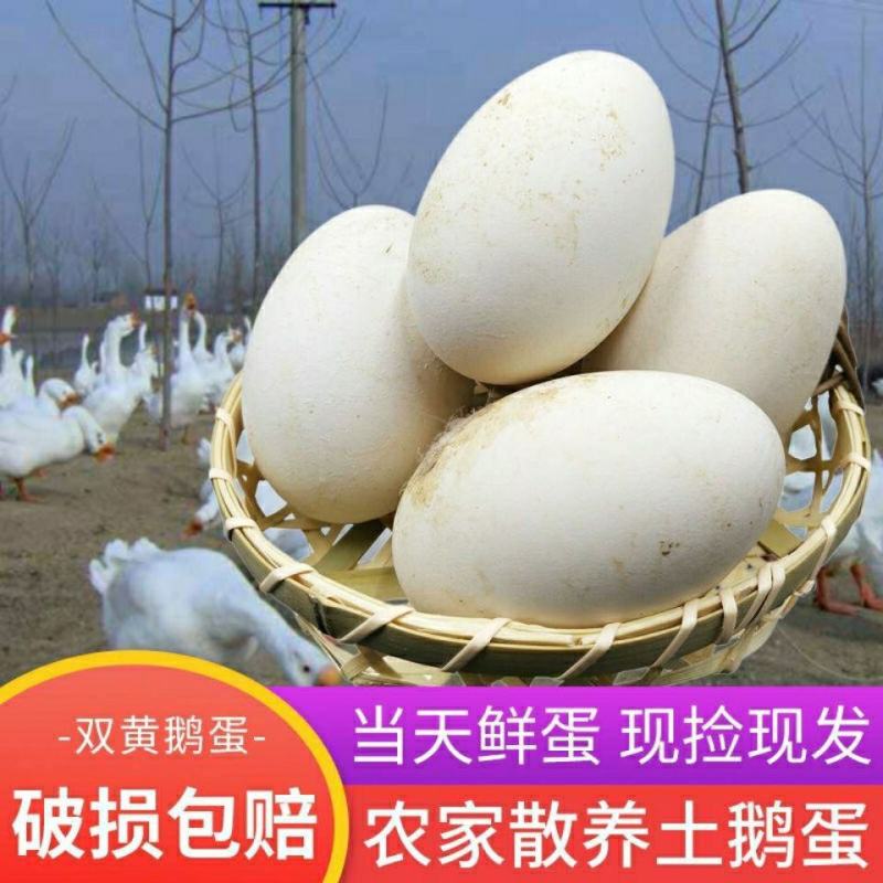 新鲜大土鹅蛋包邮36个