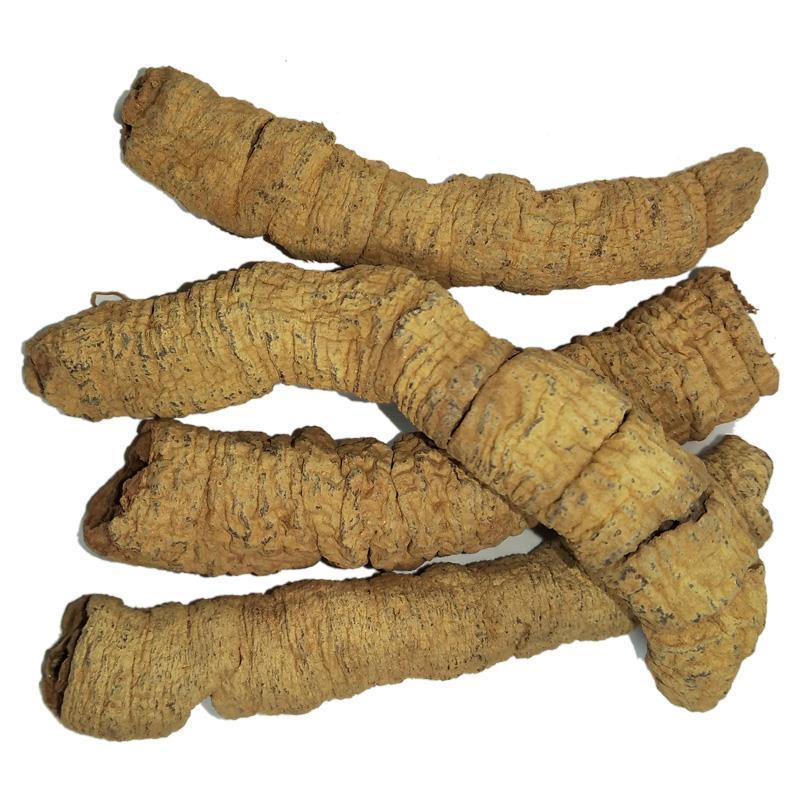 巴戟天，纯野生老货，丢下20多年的深山自挖货源