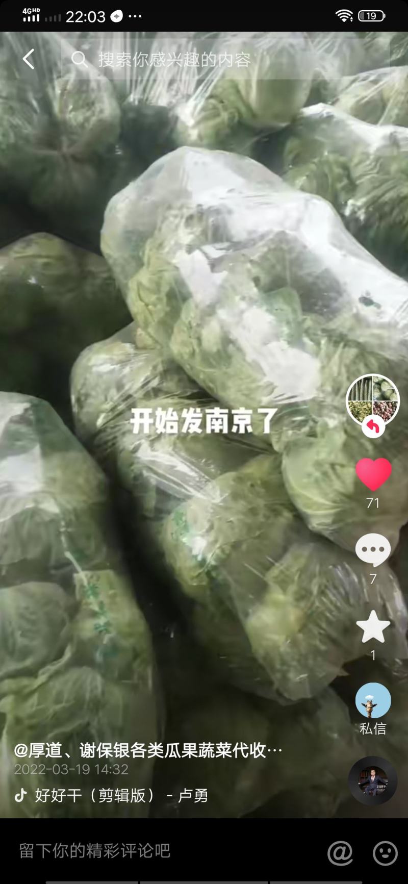 山东单县甘蓝圆甘蓝包菜宣硬都有质量保证，常年供应