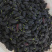 攀枝花新鲜桑葚2~3cm自家农户直销大颗果大