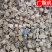 【实拍】何首乌生首乌首乌干货一公斤起批不包邮