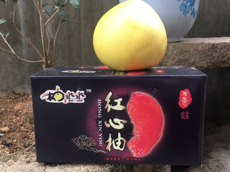 茶叶：白芽奇兰（福建省漳州市平和县白芽奇兰茶