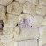 【精选】山东精品饲料蒜皮压块无尘无膜数次过筛杂质少