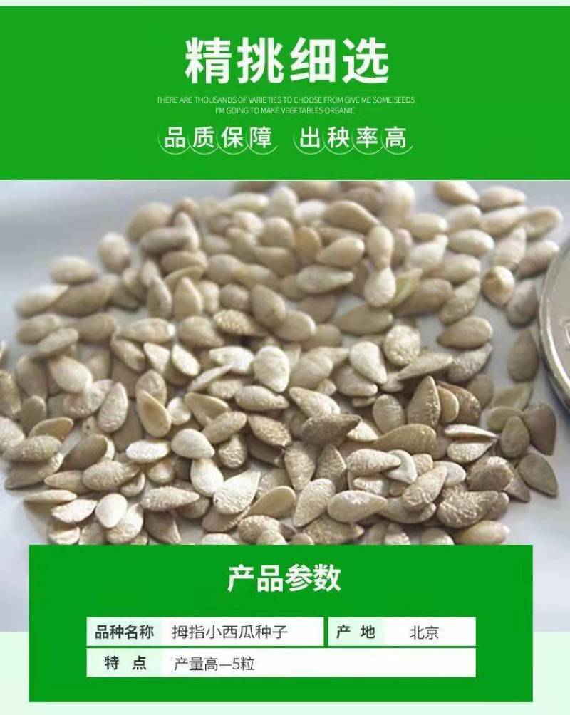 拇指西瓜种子母子小西瓜种子无籽西瓜种可食用小个手指西瓜菜