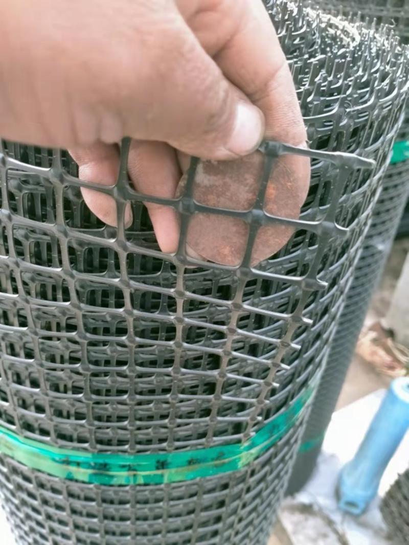 土工格栅鸡鸭鹅围栏养殖网漏粪网脚垫网塑料网