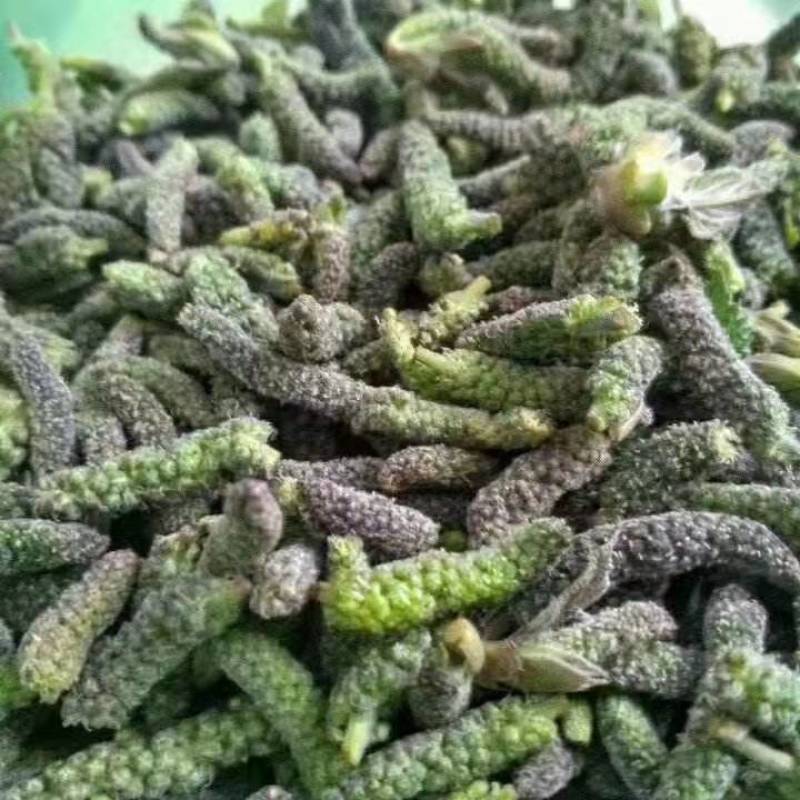 2023年新鲜野菜枸蒲穂预售支持一件代发