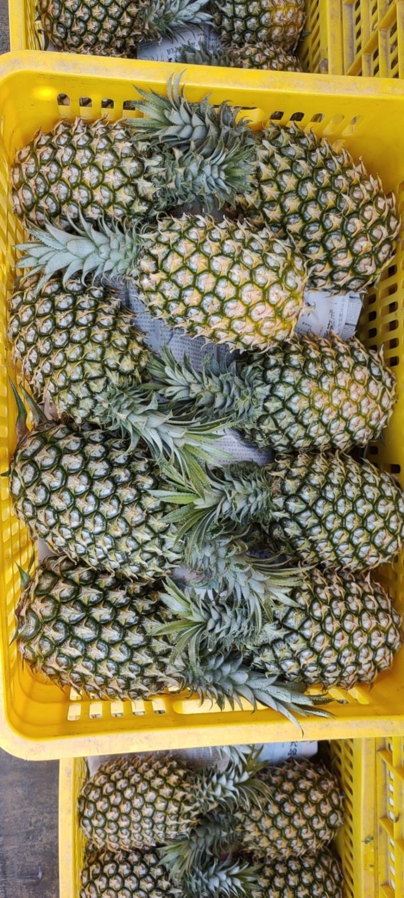 绿色产品，万里飘香，远销全国各地