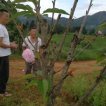 种植养殖基地寻求伙伴