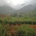 种植养殖基地寻求伙伴