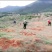 种植养殖基地寻求伙伴