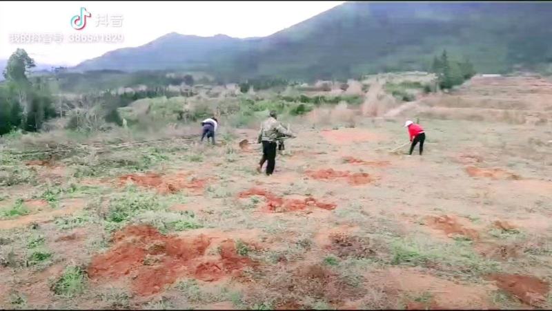 种植养殖基地寻求伙伴