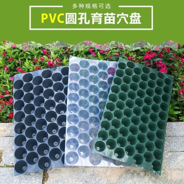 瓜果育苗盘圆孔玉米烟草穴盘辣椒种植盘菜苗盘蔬菜盘PVC塑