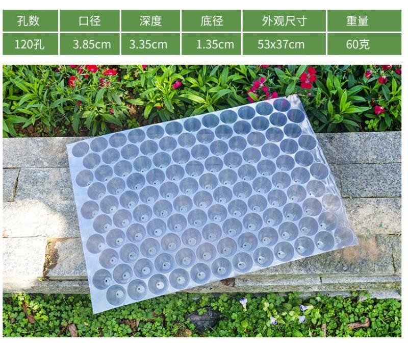 瓜果育苗盘圆孔玉米烟草穴盘辣椒种植盘菜苗盘蔬菜盘PVC塑