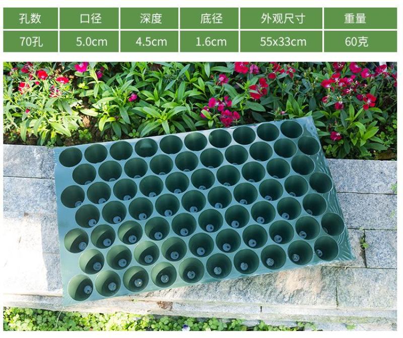瓜果育苗盘圆孔玉米烟草穴盘辣椒种植盘菜苗盘蔬菜盘PVC塑