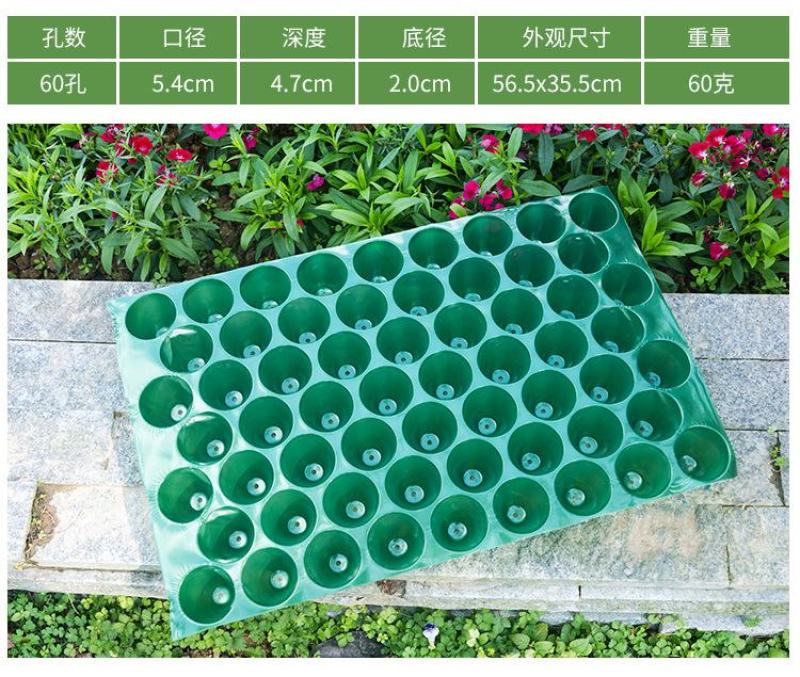 瓜果育苗盘圆孔玉米烟草穴盘辣椒种植盘菜苗盘蔬菜盘PVC塑