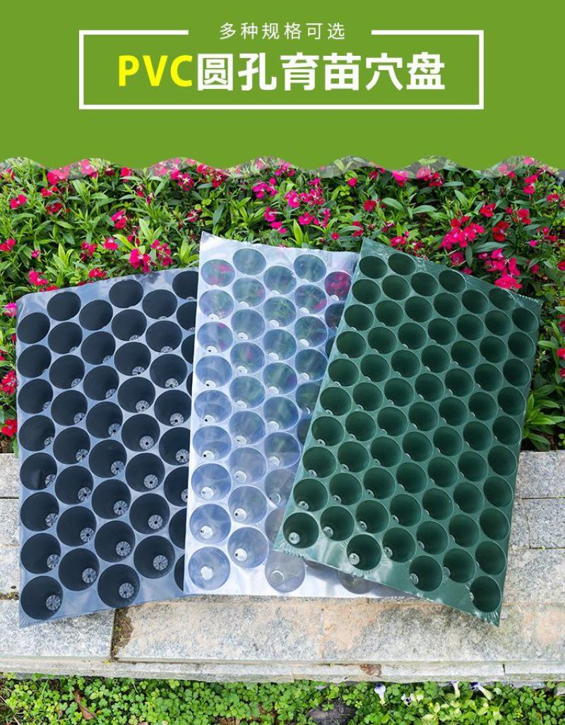 瓜果育苗盘圆孔玉米烟草穴盘辣椒种植盘菜苗盘蔬菜盘PVC塑