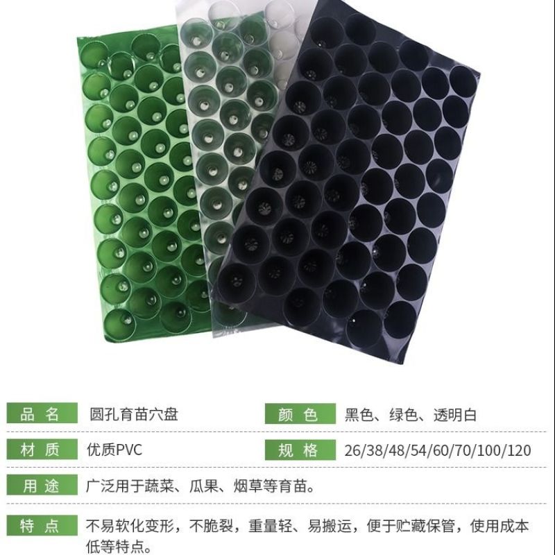 瓜果育苗盘圆孔玉米烟草穴盘辣椒种植盘菜苗盘蔬菜盘PVC塑