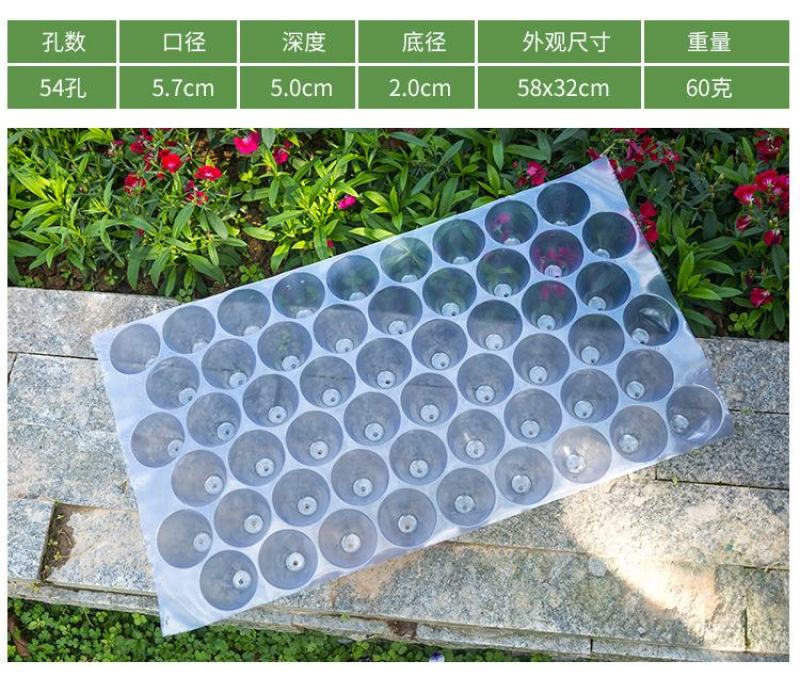瓜果育苗盘圆孔玉米烟草穴盘辣椒种植盘菜苗盘蔬菜盘PVC塑