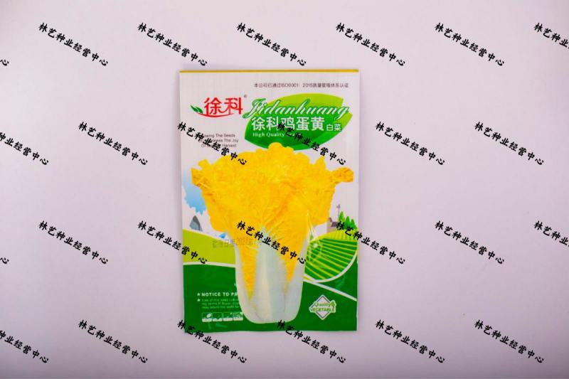 鸡蛋黄白菜种子早熟抗病高产四季黄心大白菜快菜耐热好吃蔬菜